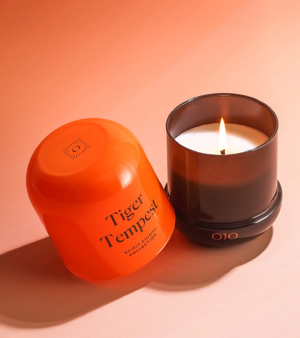 OJO Tiger Tempest candle collection with orange glass jars candle family and orange background