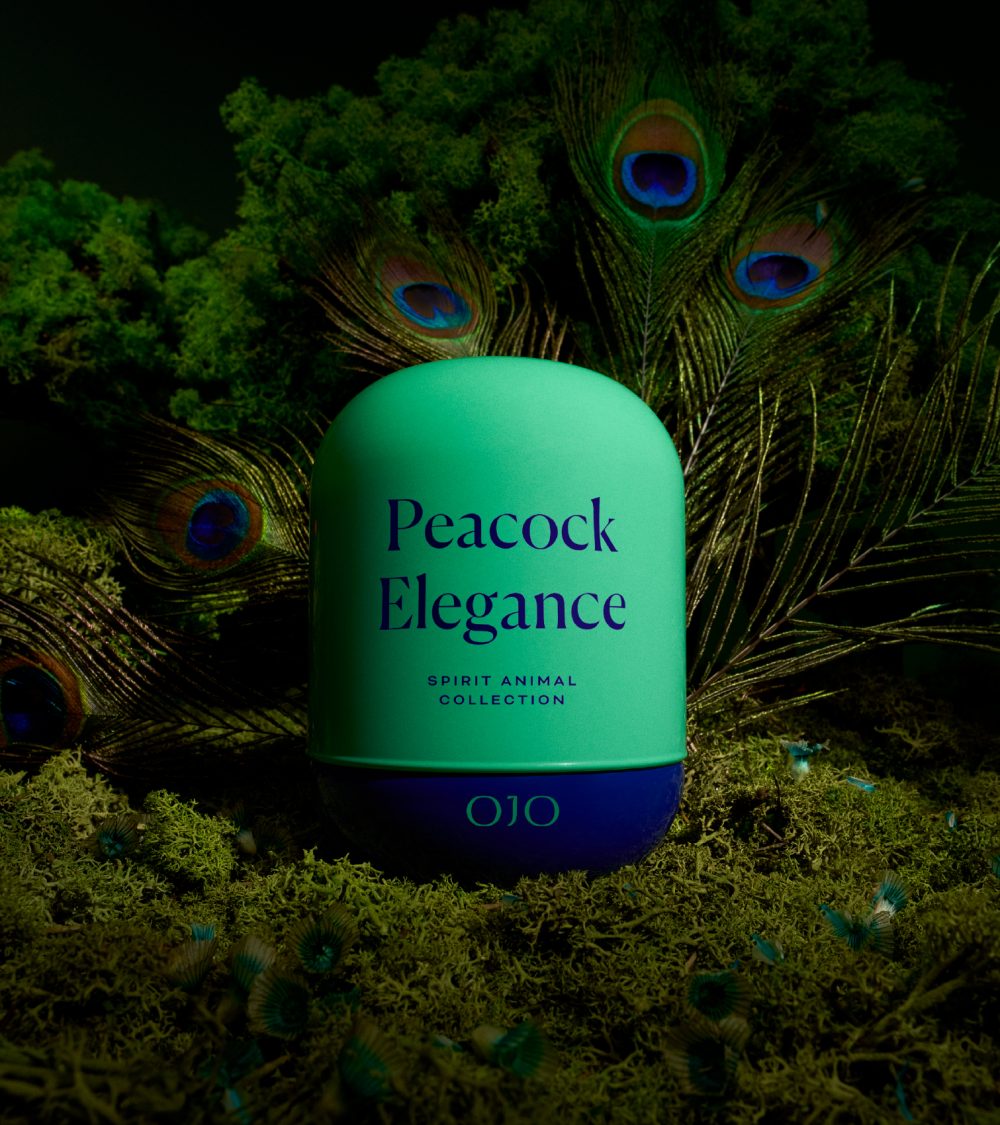 OJO Peacock Elegance candle collection with turquoise and blue glass jar, in forest, green background