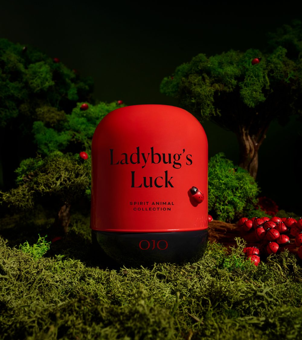 OJO Ladybug's Luck candle collection with red and black glass jar, in forest, green background