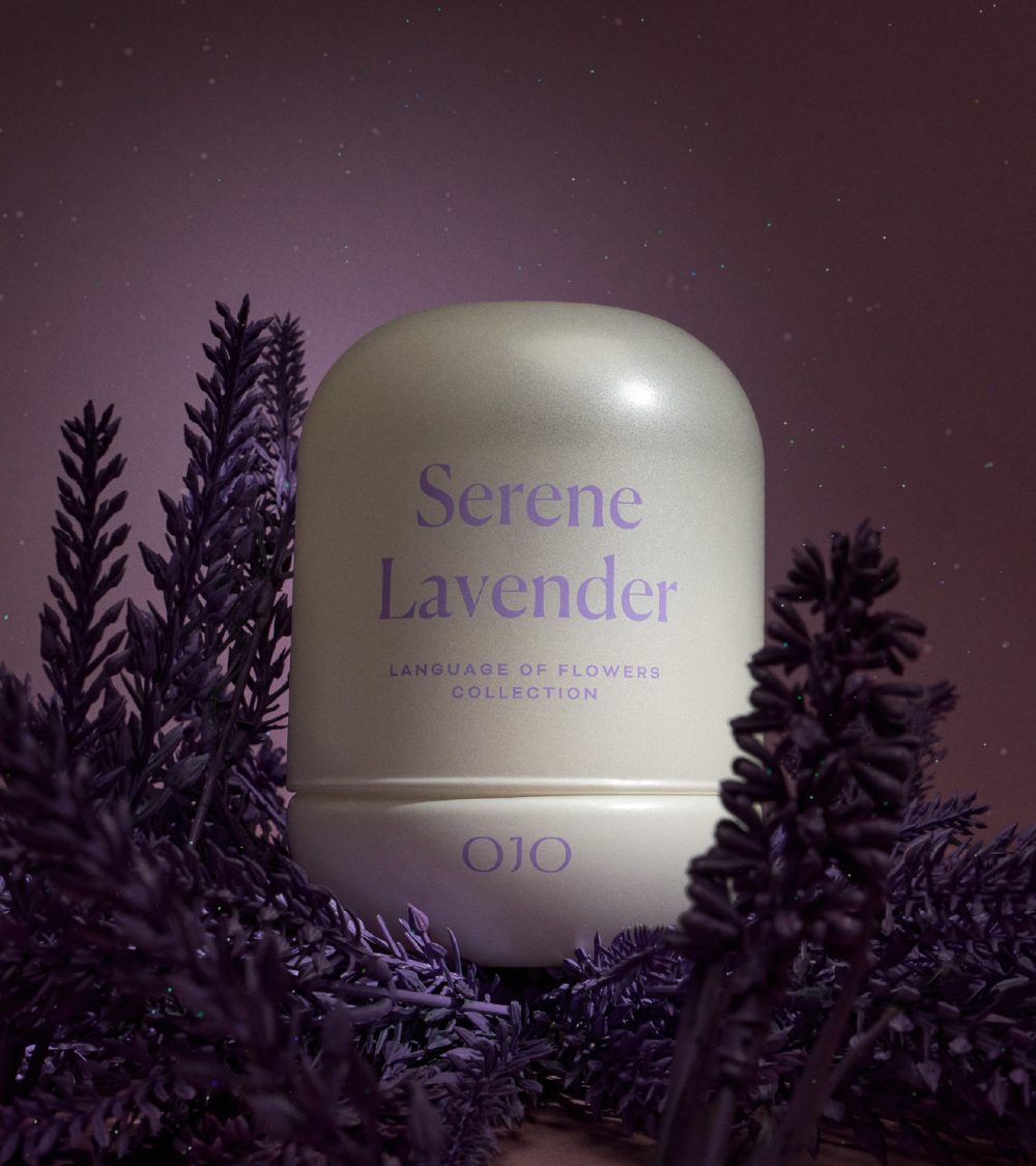 OJO Serene Lavender candle collection with white glass jars and purple background with lavender